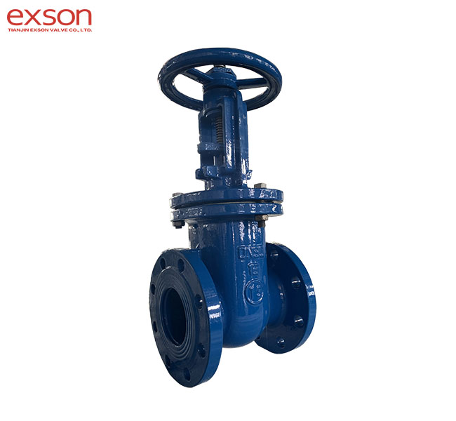 DI FLG Gate Valve